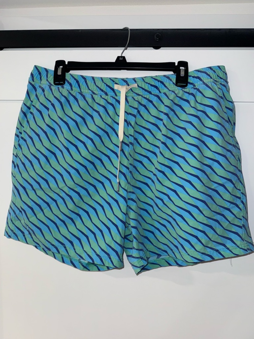 Fair Harbor Blue and Green Wave-Stripe Trunks
